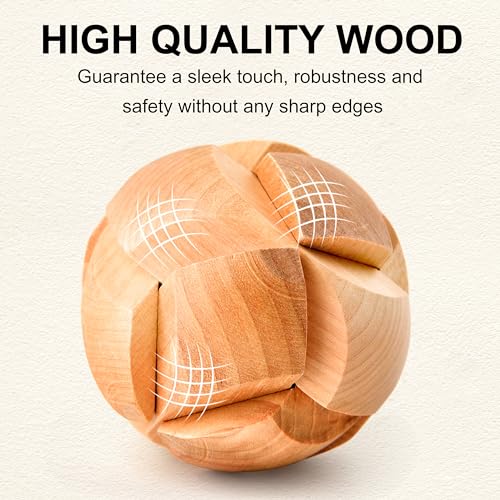 Brain Teaser Puzzles for Adults Disentanglement Puzzles Metal Wooden Brain Teaser Puzzle 16pcs Logic Metal Puzzle for Adult Kid Toy Lock Puzzles Gift for Adults Teenagers