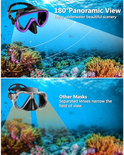 Bairuifu 2 Packs Dry Snorkel Mask Set Snorkeling Gear for Adults Scuba Diving Mask Swimming Glasses Swim Dive Mask Nose Cover Free Diving
