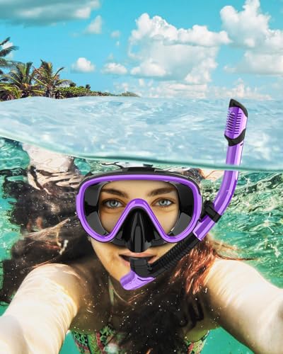 Bairuifu 2 Packs Dry Snorkel Mask Set Snorkeling Gear for Adults Scuba Diving Mask Swimming Glasses Swim Dive Mask Nose Cover Free Diving