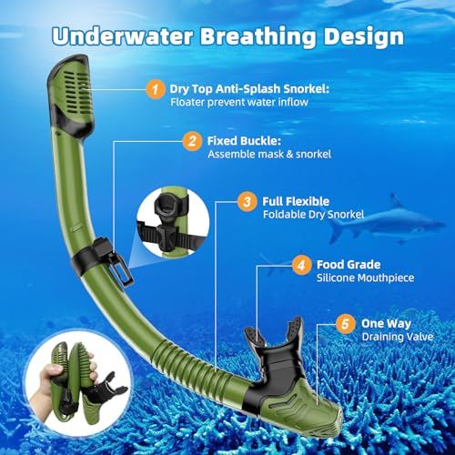 Snorkel Set Adults Snorkeling Gear Anti-Leak and Anti-Fog Tempered Glass Lens Panoramic View Swim Mask Dry Top Snorkel Kit for Snorkeling Scuba Diving Swimming Travel with Carry Bag