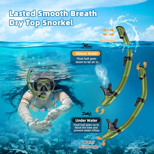 Snorkel Set Adults Snorkeling Gear Anti-Leak and Anti-Fog Tempered Glass Lens Panoramic View Swim Mask Dry Top Snorkel Kit for Snorkeling Scuba Diving Swimming Travel with Carry Bag