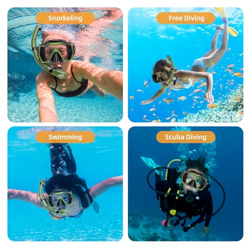 Snorkel Set Adults Snorkeling Gear Anti-Leak and Anti-Fog Tempered Glass Lens Panoramic View Swim Mask Dry Top Snorkel Kit for Snorkeling Scuba Diving Swimming Travel with Carry Bag