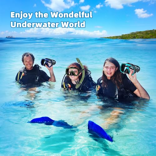 Snorkel Set Adults Snorkeling Gear Anti-Leak and Anti-Fog Tempered Glass Lens Panoramic View Swim Mask Dry Top Snorkel Kit for Snorkeling Scuba Diving Swimming Travel with Carry Bag