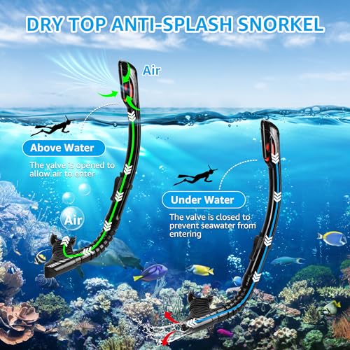 Snorkeling Gear for Adults, Snorkel Mask Adult Set Wide View Scuba Mask Anti-Leak and Anti-Fog Tempered Glass Lens Dry Top Mask Nose Cover for Youth