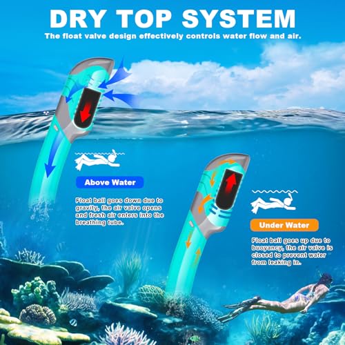 Snorkeling Gear for Adults, Felidel Snorkel Mask Adult Dry Top Snorkel Set with Panoramic View Anti-Fog Scuba Diving Mask for Snorkeling Swimming Travel, Snorkeling Kit Diving Packages