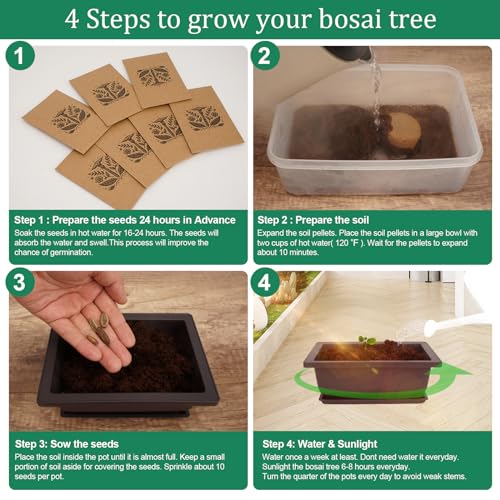 Bonsai Tree Kits, Bonsai Starter Kits with Bonsai Pots, Tools, Bonsai Tree Live, 7 Kinds of Bonsai Tree Seeds, Soil, Trays, Grow Bonsai in Indoor, Beginners Kits Garden Plant Kits Gifts for Men Women