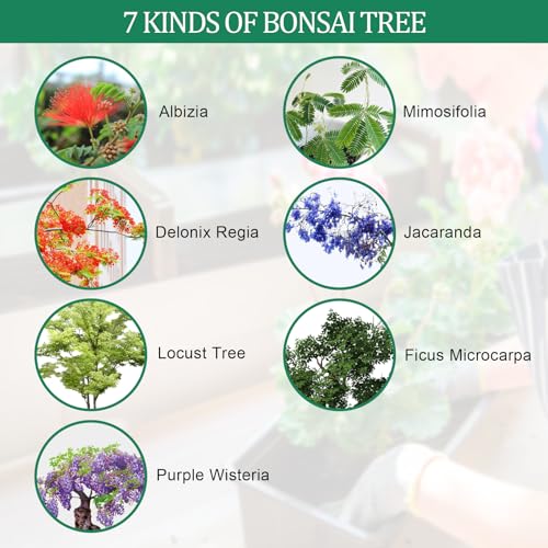 Bonsai Tree Kits, Bonsai Starter Kits with Bonsai Pots, Tools, Bonsai Tree Live, 7 Kinds of Bonsai Tree Seeds, Soil, Trays, Grow Bonsai in Indoor, Beginners Kits Garden Plant Kits Gifts for Men Women