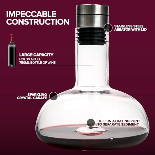 Modern Innovations Red Wine Decanter with Aerator Lid, Best Wine Decanter Gift Kit for Wine Lovers, Double Decanter Set for Wine, Wine Breather Carafe Decanter, Aerating Decanter, Glass Wine Saver