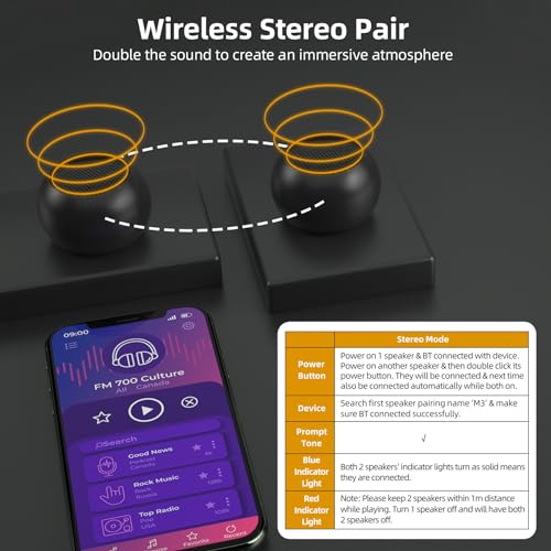 2Pack Portable Mini Speaker, Bluetooth Tiny Speaker,Wireless Micro Speaker for Phone/PC/Tablet, Rechargeable Battery, Built-in Microphone, Cute Mini Speaker with Strap to Carry, Black