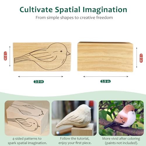 Wood Carving Kit for Beginners, Essential Wood Whittling Kit for Beginners, Knife Tools Accessories, Balsawood and Basswood Blocks, Bird Carving Video Tutorial, DIY Kits for Adults Hobbies