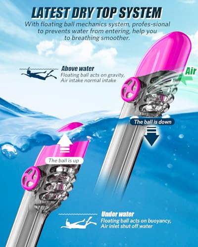 QingSong Full Face Snorkel Mask for Adults & Kids, Snorkeling Gear with Camera Mount, Foldable 180 Degree Panoramic View Snorkeling Set Anti-Fog Anti-Leak