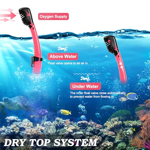 Snorkeling Gear for Adults, Dry Top Snorkel Mask Set 2 Pack Scuba Diving Mask Snorkel Gear Anti Fog Snorkeling Packages Tempered Glass Panoramic View