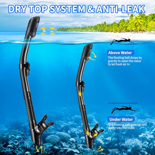 Snorkeling Gear for Adults, Snorkel Mask Adult Snorkel Set, Dry Top Snorkeling Gear for Adults, 180°Panoramic Wide View Anti-Fog Tempered Glass Scuba Diving Mask for Snorkeling Swimming Travel