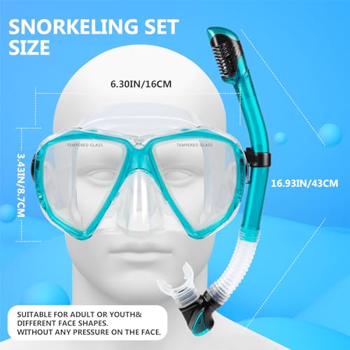 Snorkel Set Adult Snorkeling Gear Anti-Fog Panoramic Scuba Diving Mask and Dry Snorkel Tempered Glass Anti-Leak Snorkel Mask for Freediving, Snorkeling, Swimming