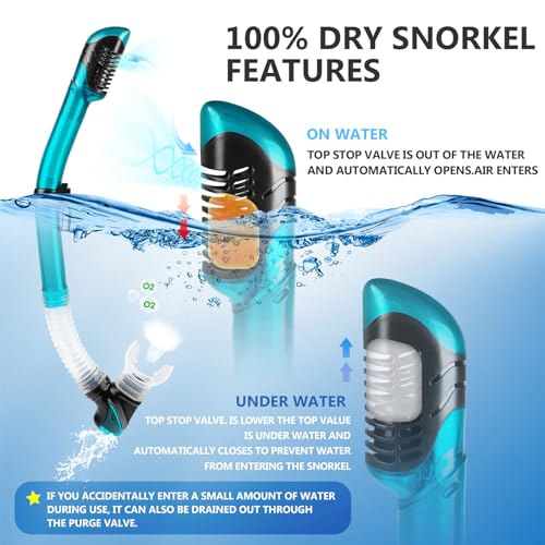 Snorkel Set Adult Snorkeling Gear Anti-Fog Panoramic Scuba Diving Mask and Dry Snorkel Tempered Glass Anti-Leak Snorkel Mask for Freediving, Snorkeling, Swimming