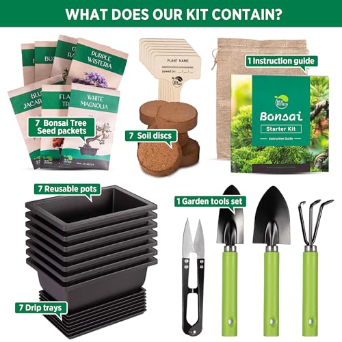 RealPetaled Bonsai Tree Starter Kit: Complete Bonsai Plant Growing Kit with 7 Types of Bonsai Tree Seeds Tools Soil Pots Trays - Japanese Grow Kit for Women and Men