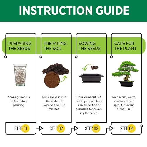 RealPetaled Bonsai Tree Starter Kit: Complete Bonsai Plant Growing Kit with 7 Types of Bonsai Tree Seeds Tools Soil Pots Trays - Japanese Grow Kit for Women and Men