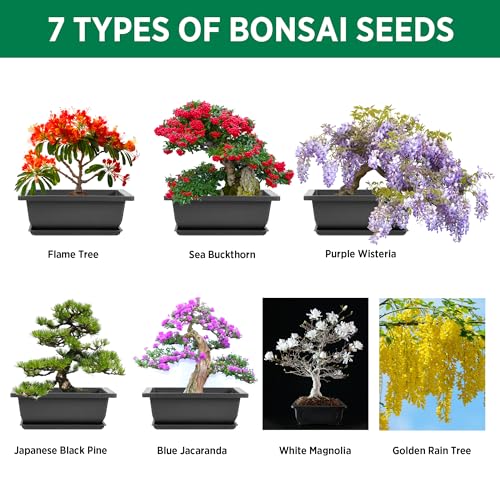 RealPetaled Bonsai Tree Starter Kit: Complete Bonsai Plant Growing Kit with 7 Types of Bonsai Tree Seeds Tools Soil Pots Trays - Japanese Grow Kit for Women and Men