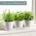 Barnyard Designs Indoor Herb Garden Planter Set with Tray, Metal Windowsill Plant Pots with Drainage for Outdoor or Indoor Plants, Set/3 (White)