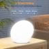 LASTAR Sun Lamp, 10,000 Lux Sunlight Lamp with Touch Control, 5 Brightness Level & 60Min Timer, One-Max Sun Lamp with Memory Function for Home/Office(White)