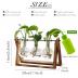 XXXFLOWER Plant Terrarium with Wooden Stand, Air Planter Bulb Glass Vase Metal Swivel Holder Retro Tabletop for Hydroponics Home Garden Office Decoration - 3 Bulb Vase