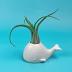 Sur La Table Genuine Fred Fancy Ceramic Mini Air Plant/Succulent Holder, Regular, Whale