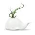 Sur La Table Genuine Fred Fancy Ceramic Mini Air Plant/Succulent Holder, Regular, Whale