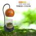 Tiny Plant Terrarium Modern Style Wood Grain DIY Kit Terrarium with Light for Succulent, Moss, Ferns Household Plant Tabletop Decoration Gardening Landscape Desk Lamp for Gardening Starter, Adults