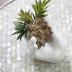 ourhommie 2 PCS Air Plant Holder Cute Ceramic Mini Hand Shape Stand Airplants Tillandsia Small Container Pot Plant Decorative Home Decor for Desk Table Shelf Window, White