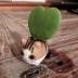 Bluecell Mini Ceramic Cute Animal Shaped Cartoon Home Decoration Vase Flower Pots Cat Shape Planter for Succulent Plant/Cactus Flower (Adorkable)