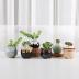 T4U Small Ceramic Succulent Pots with Drainage Set of 12, Mini Pots for Plants, Succulent Plant Gifts for Women, Tiny Air Plant Flower Pots Cactus Faux Plants Containers, Home and Office Decor