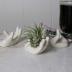 ourhommie 2 PCS Air Plant Holder Cute Ceramic Mini Hand Shape Stand Airplants Tillandsia Small Container Pot Plant Decorative Home Decor for Desk Table Shelf Window, White