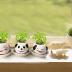 BLOSSOMLIFE Automatic Self Watering Animal Planter Creative Animal Tongue Cultivation DIY Mini Ceramic Plant Pots Desktop Decor (Cat) (Mini Ceramic Pot-01)
