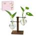 XXXFLOWER Plant Terrarium Wooden Stand, Hydroponic Planter Bulb Glass Metal Swivel Holder Retro Air Plants Water Plants for Home Office Decoration, Plant Lover Gifts - 2 Love Bulb Vase