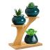 XXXFLOWER Bamboo Plant Stand ,3 Tiers Indoor Succulent Windowsill Shelf - Small Tabletop Plant Holder for Home, Office, Living Room, Bedroom Decoration 1pc