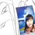 HOHIYA Photo Tree Holders Gift Card Money Picture Display Stand Clip Lottery Ticket Christmas Wedding Greeting Birthday Party Gift Silver Iron 14 Inch Taiwan Made