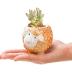 Pumtus 6 Pack Small Succulent Pots with Drainage Hole, 3 Inch Cute Ceramic Animal Planter with Saucer, Unique Air Plant Holder, Desktop Plant Flower Pot for Indoor Plants, Cactus, Garden, Home Decor