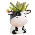 DIYOMR Cute Animal Ceramics Planter Small Succulent Pot Cartoon Shaped Plant Pot for Mini Plants Flower Cactus, Smooth Shiny Ceramic - Plants Not Included (Cow)
