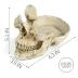 Mrlikale Skull Glasses Stand Holder, Creative Eyeglasses Holder, Sunglasses Spectacle Display Rack, Key Holder Resin Sculptures for Entryway, Home, Office, Desk, Nightstand (White)