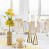 Vixdonos Brass Gold Metal Candle Holders Taper Candlestick Holders Set of 2 Table Decorative Candle Stand for Wedding, Dinning, Party,Home Decor (Gold)