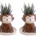 SWONVI Cute Animal Ceramics Planter Small Succulent Pot Cartoon Shaped Plant Pot for Mini Plants Flower Cactus, Smooth Shiny Ceramic - Plants Not Included (2 pcs Monkey)