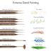 Artify Extreme Detail Paint Brushes, Miniature Paint Brushes for Models, 10pcs Small Paint Brushes with a Handbag, Miniature Brushes for Fine Detailing - Acrylic, Watercolor,Oil,Models,40K