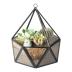 ElegantLife Glass Geometric Terrarium,Succulent & Air Plant(No Plant Included) (Black)