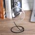 Clear Glass Vase Hanging Large Plant Terrarium with Black Metal Stand for Air Plants Succulent