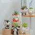 Gaolinci Mini Cute Ceramic Animal Flower Pot Succulent Plant Pot