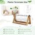 Plant Propagation Station with Wooden Stand,Plant Decor Birthday Gifts for Women,Christmas Planter Gifts for Plant Lovers,Plant Terrarium for Home Office Christmas Decor,Window Sill Decor-3 Bulb Vases