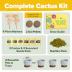 Bonsai Tree Kit - Gifts for Men & Women (Cactus Ceramic Kit)