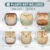 Nitial 24 Pack Owl Succulent Plant Pots Mini Owl Pot with Drainage Hole Cute Planters Small Ceramic Pots for Plants, Plants Not Included, Home Office Desk Garden Gift Ideas (Cute,2 Sizes)