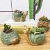 SUNSMIL Small Ceramic Succulent Pot with Drainage, Animal Succulent Planter, 4.4 Inch Flower Pots, for Flower, Cactus, Mini Succulent Plants, Indoor and Outdoor use, Set of 4 Garden Gift
