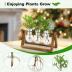 Plant Propagation Station with Wooden Stand,Plant Decor Birthday Gifts for Women,Christmas Planter Gifts for Plant Lovers,Plant Terrarium for Home Office Christmas Decor,Window Sill Decor-3 Bulb Vases